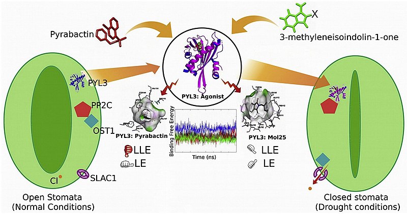 Sample graphical Abstract